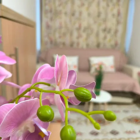 Rilska - Center And Sea Garden 아파트